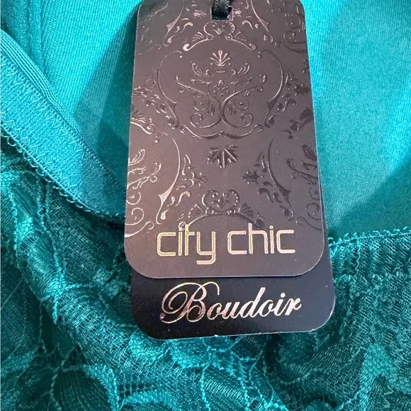 Elegant Emerald green Lace Trim Bra Ladies Size 42C NEW - Picture 10 of 10